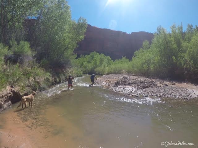 Backpacking Little Death Hollow/Wolverine Loop, Escalante, Utah,