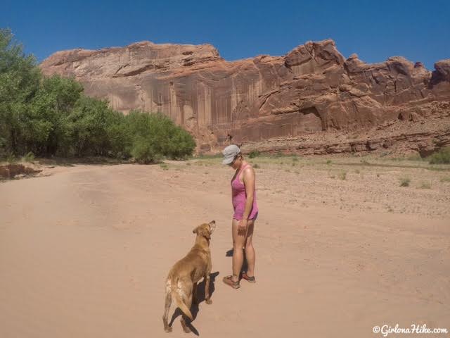 Backpacking Little Death Hollow/Wolverine Loop, Escalante, Utah,