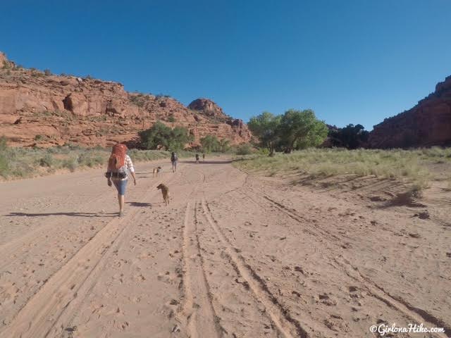 Backpacking Little Death Hollow/Wolverine Loop, Escalante, Utah,