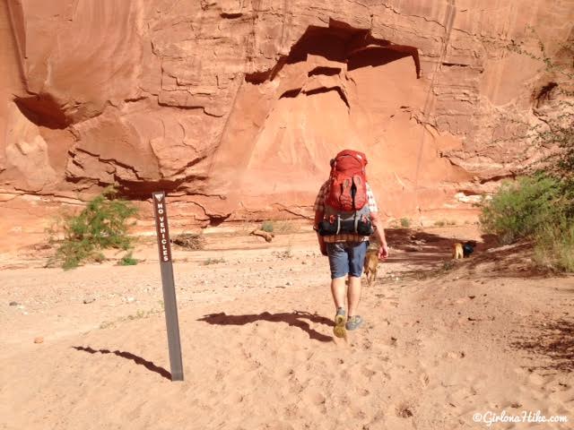 Backpacking Little Death Hollow/Wolverine Loop, Escalante, Utah,