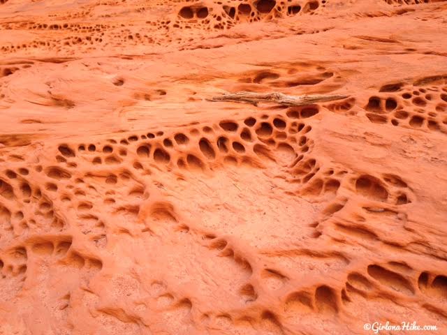 Backpacking Little Death Hollow/Wolverine Loop, Escalante, Utah,