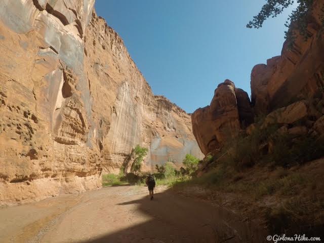 Backpacking Little Death Hollow/Wolverine Loop, Escalante, Utah,