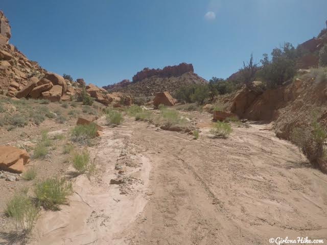 Backpacking Little Death Hollow/Wolverine Loop, Escalante, Utah,