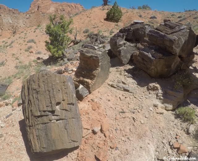 Backpacking Little Death Hollow/Wolverine Loop, Escalante, Utah,