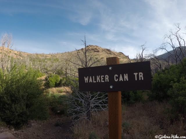 Hiking to Fool Creek Peak