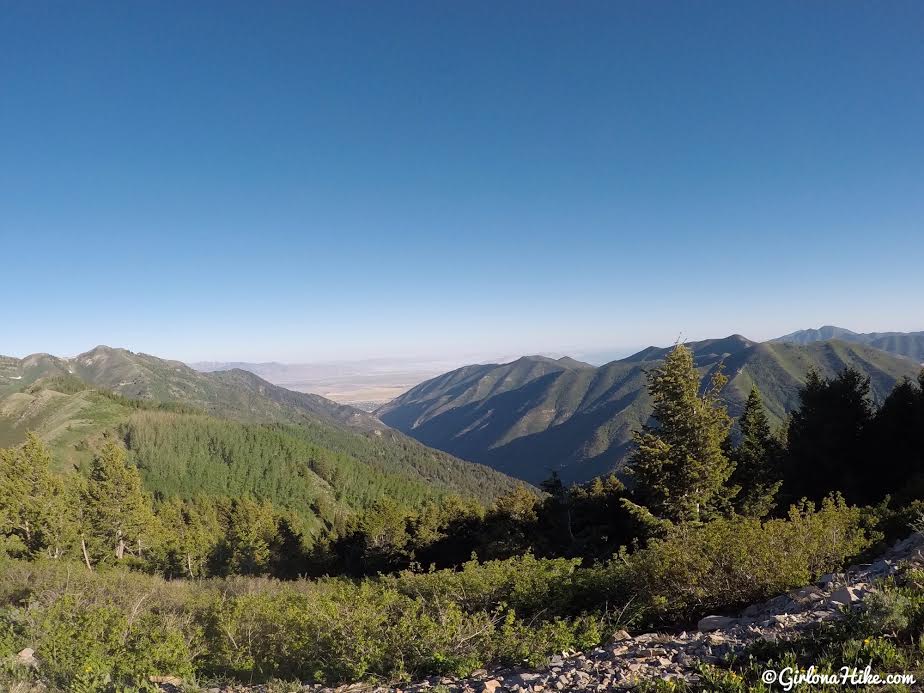 Hiking to Butterfield Peaks, White Pine Peak, & Kelsey Peak