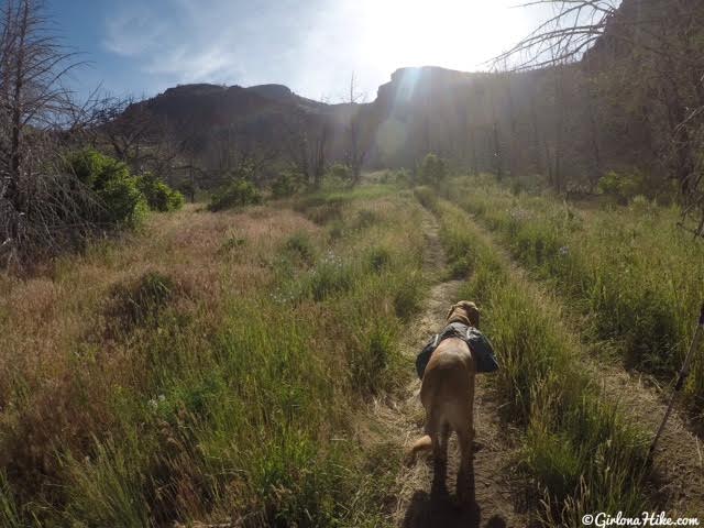 Hiking to Fool Creek Peak