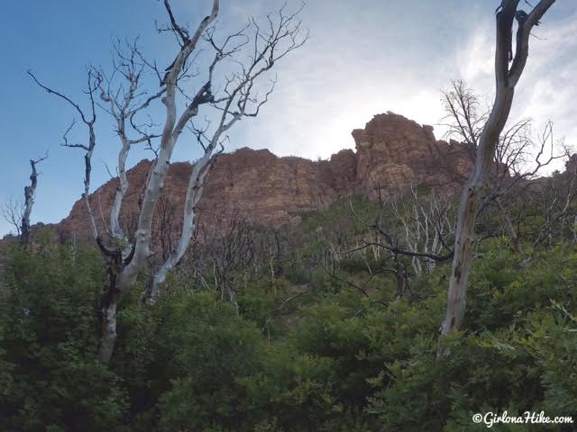 Hiking to Fool Creek Peak