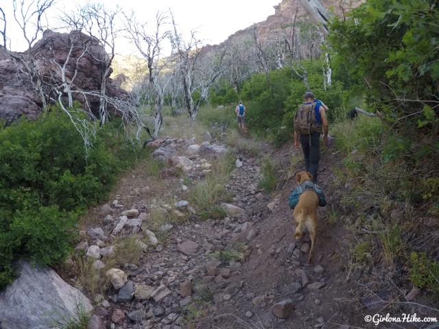 Hiking to Fool Creek Peak