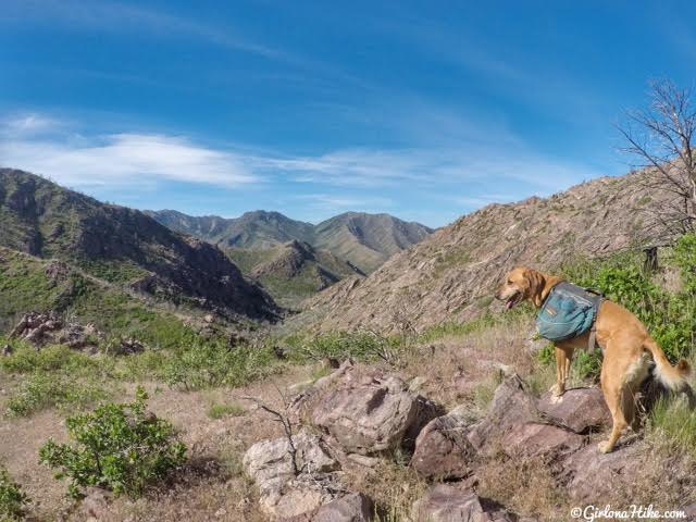 Hiking to Fool Creek Peak