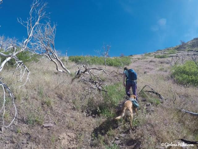 Hiking to Fool Creek Peak