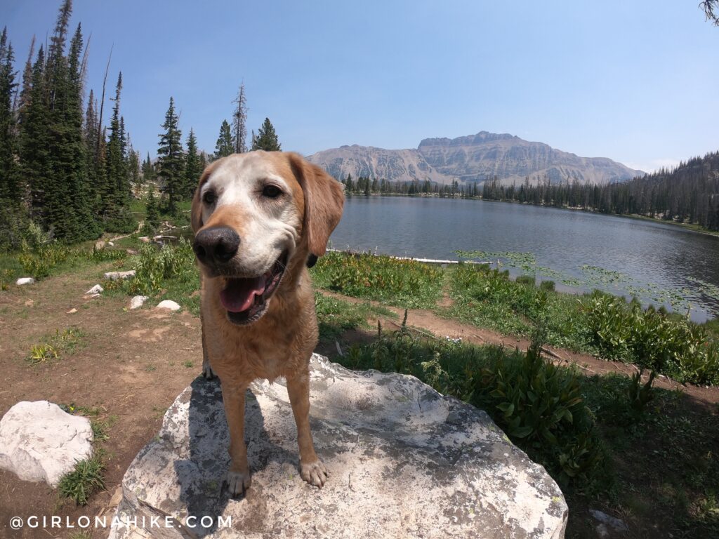 Hiking to Ruth Lake, Uintas