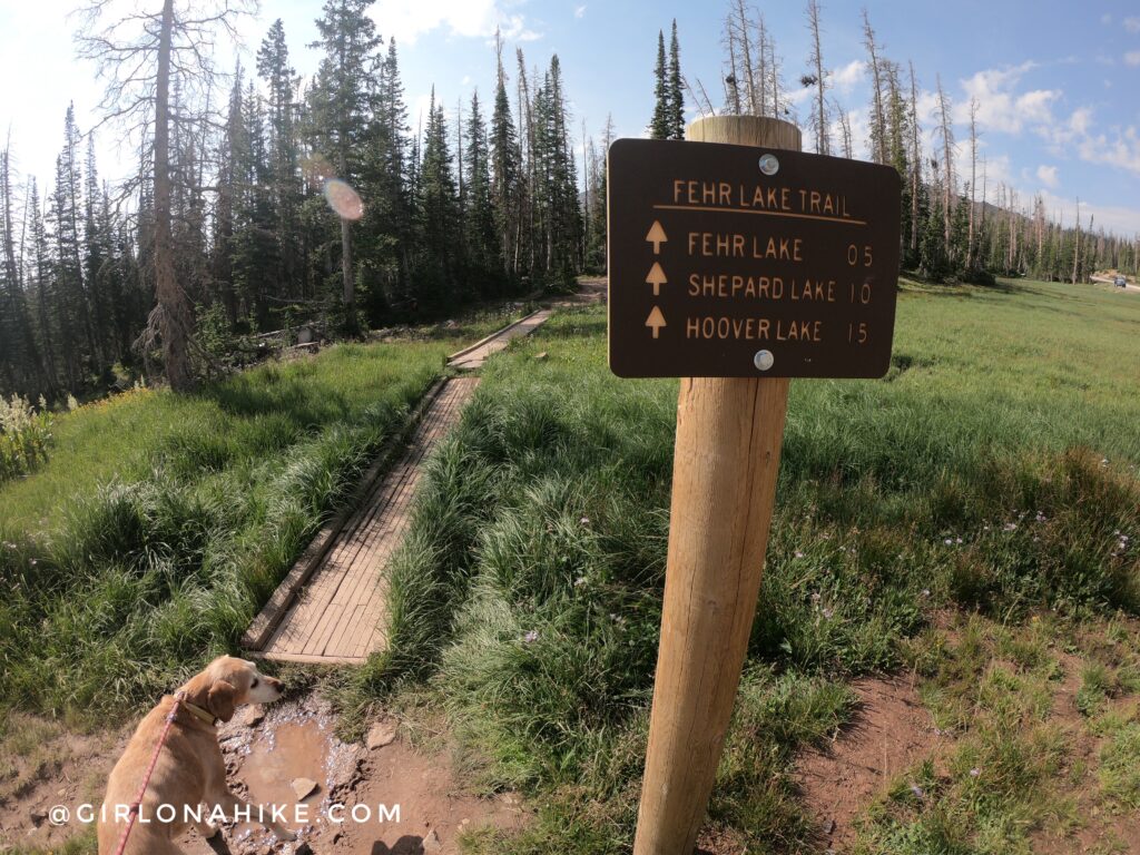 Hiking the Fehr Lake Trail, Uintas