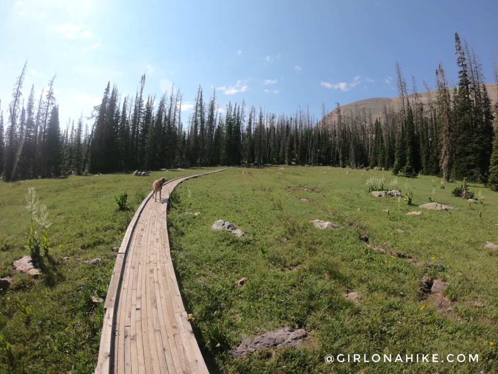 Hiking the Fehr Lake Trail, Uintas