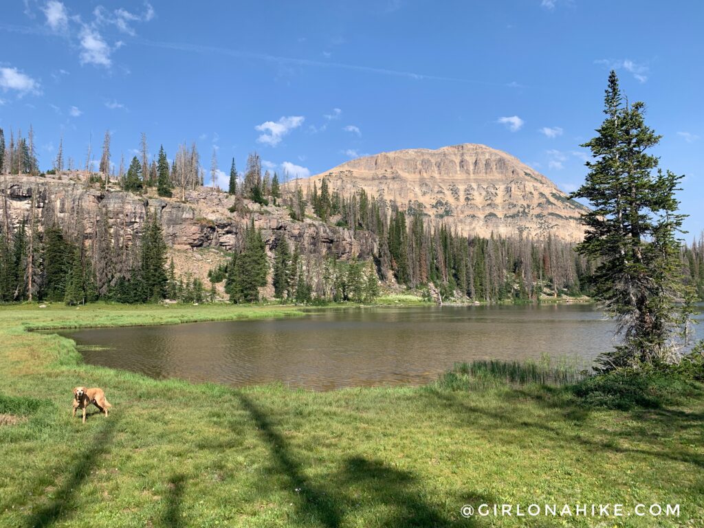 Hiking the Fehr Lake Trail, Uintas