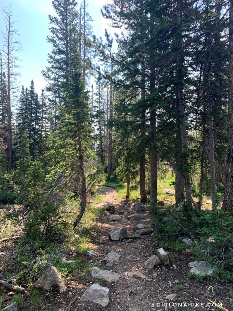 Hiking the Fehr Lake Trail, Uintas