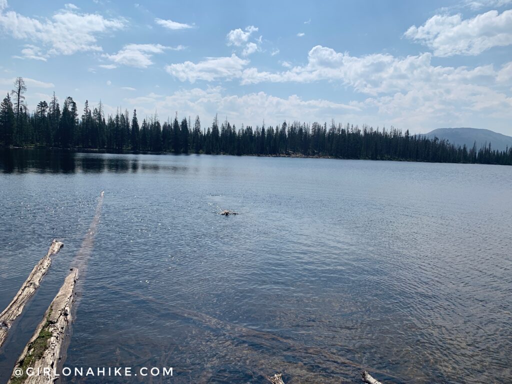 Hiking the Fehr Lake Trail, Uintas