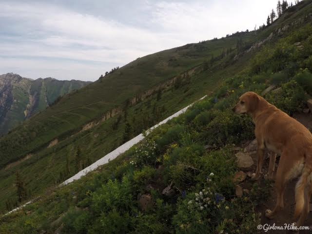 Hiking to Provo Peak