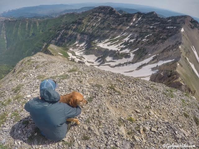 Hiking to Provo Peak