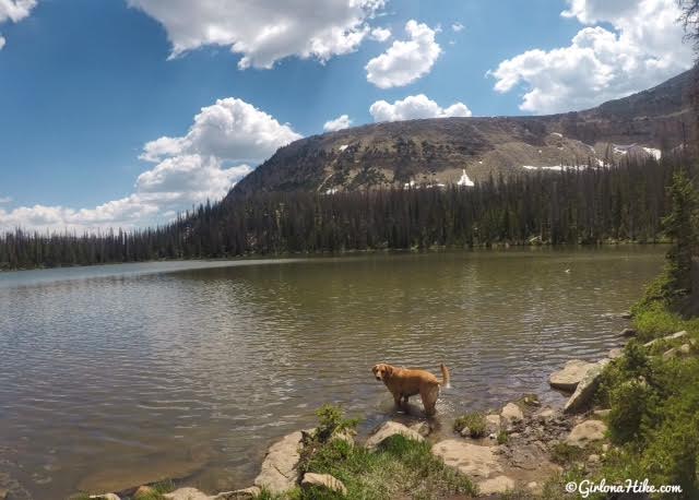 Hiking the Fehr Lake Trail, Uintas