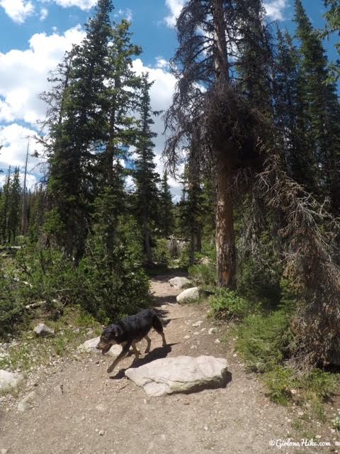 Hiking to Ruth Lake, Uintas