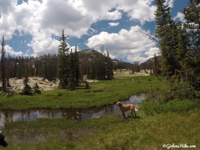 Hiking to Ruth Lake, Uintas