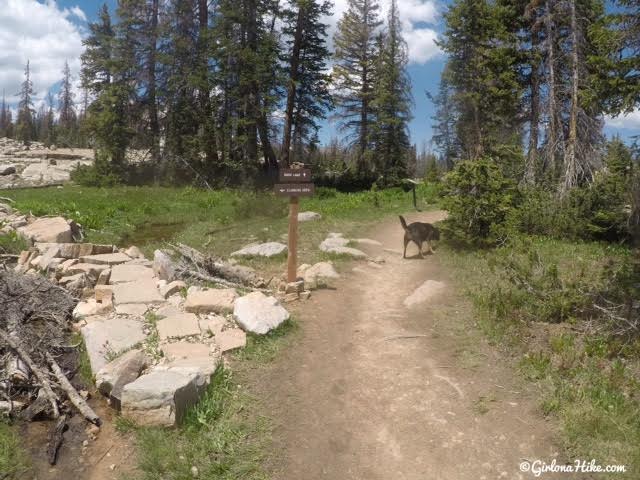 Hiking to Ruth Lake, Uintas