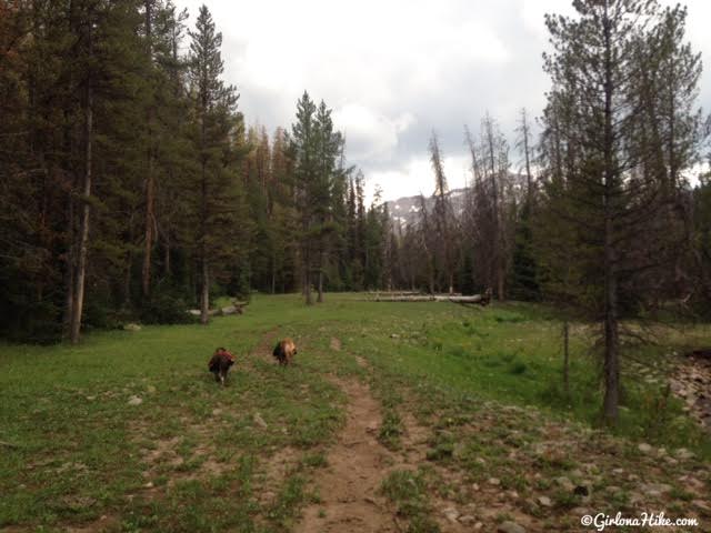 Backpacking to Priord Lake, Uintas