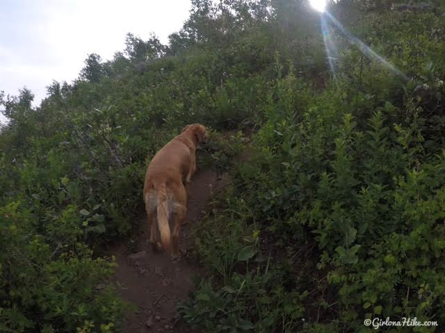 Hiking to Provo Peak