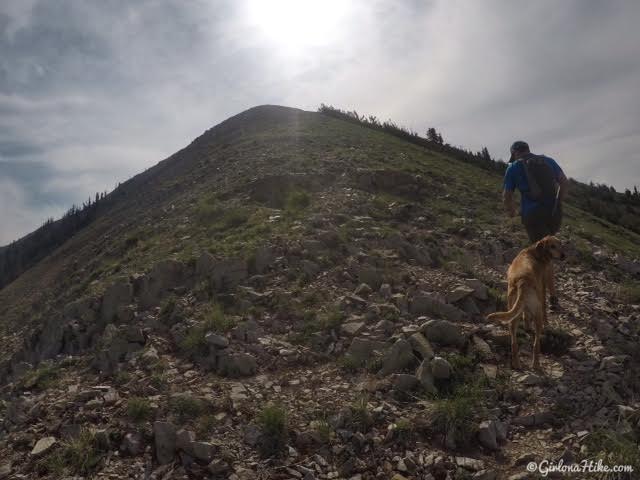 Hiking to Provo Peak