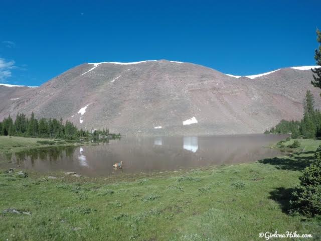 Backpacking to Farmer's Lake,Timothy Lakes Basin, Uintas