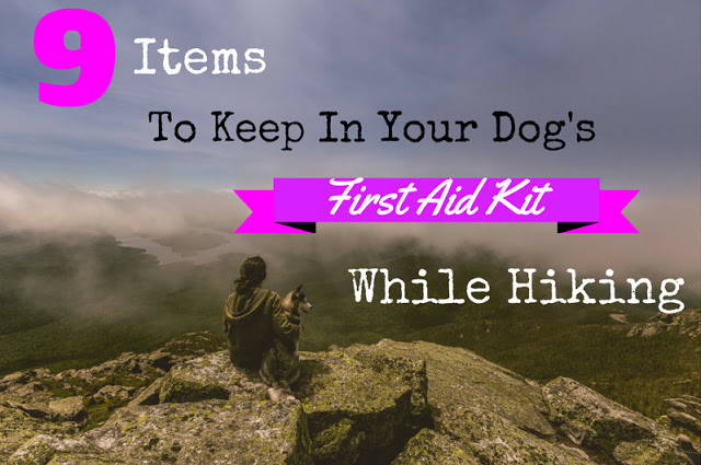 How to Get your Dog Ready for Their First Backpacking Trip! 9 Items to Keep in Your Dog's First Aid Kit