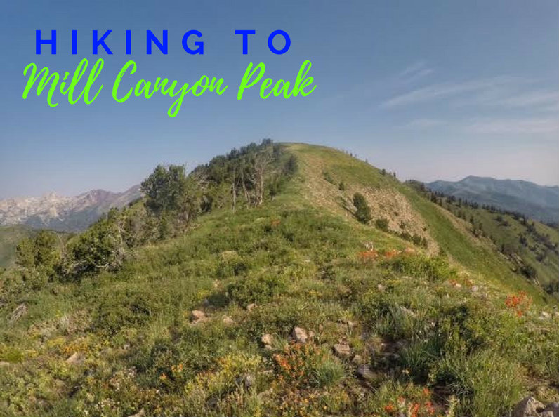Hiking to Mill Canyon Peak, American Fork Canyon