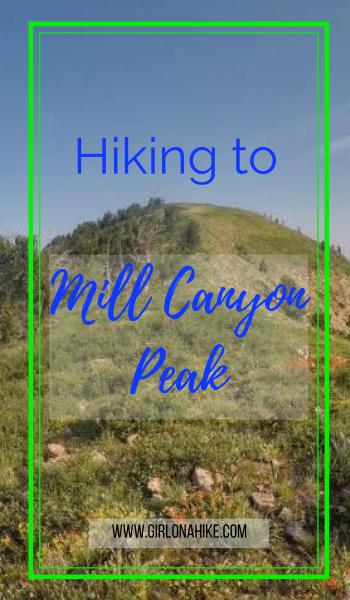 Hiking to Mill Canyon Peak, American Fork Canyon