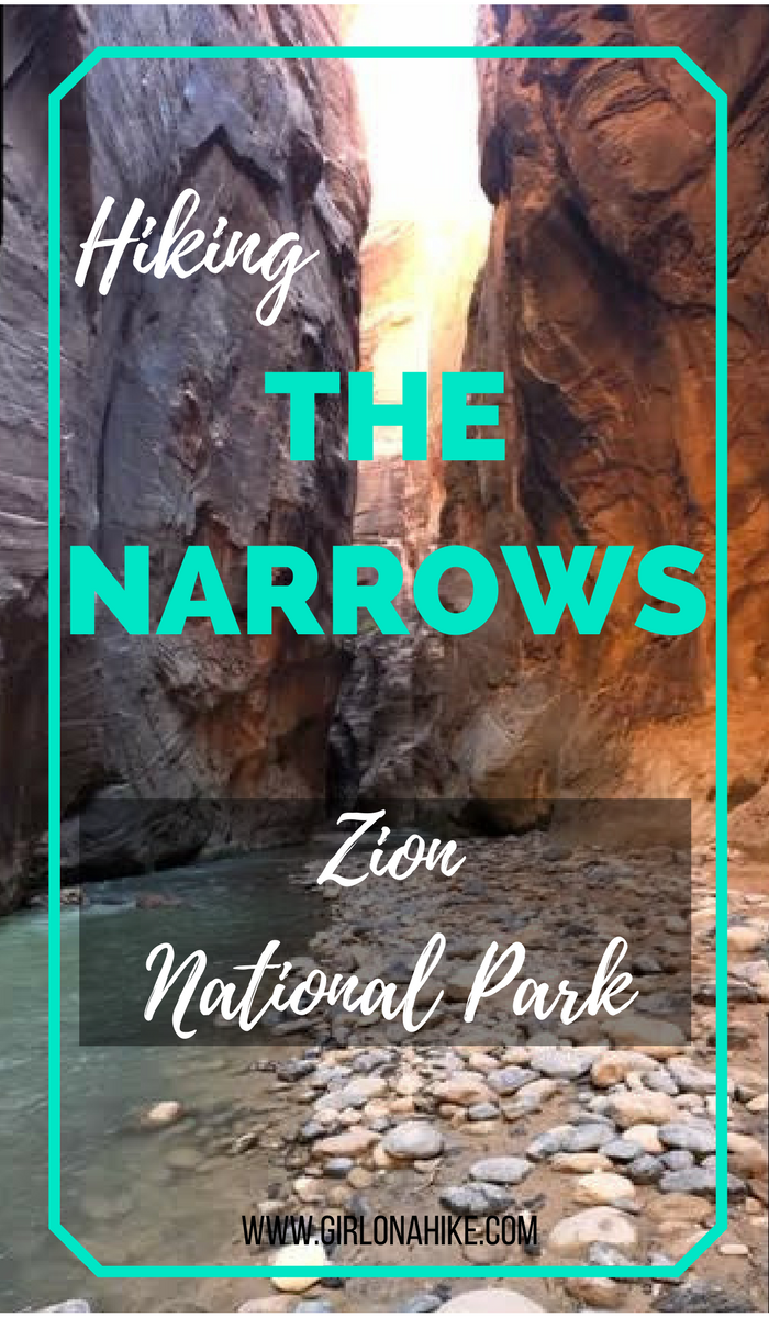 Hiking The Narrows, Zion National Park