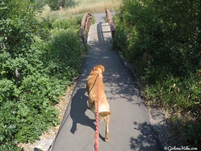 Visiting Cascade Springs, American Fork Canyon