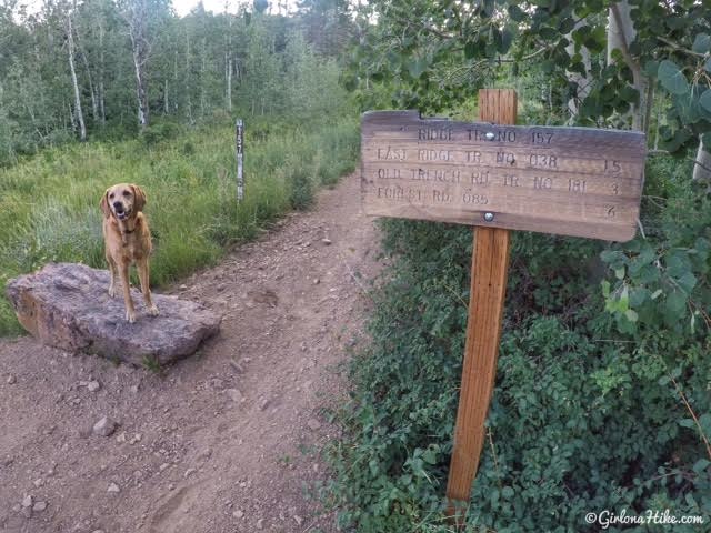 Hiking to Mill Canyon Peak, American Fork Canyon