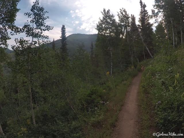 Hiking to Mill Canyon Peak, American Fork Canyon