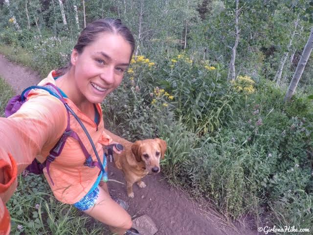 Hiking to Mill Canyon Peak, American Fork Canyon