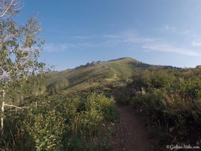 Hiking to Mill Canyon Peak, American Fork Canyon