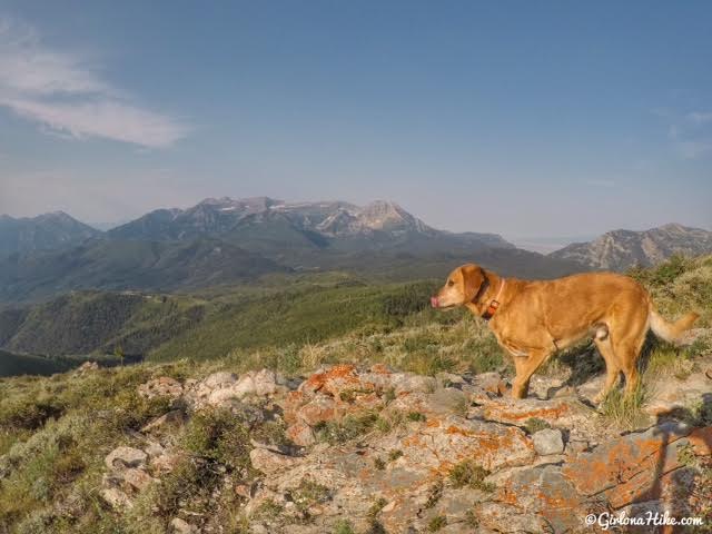 Hiking to Mill Canyon Peak, American Fork Canyon