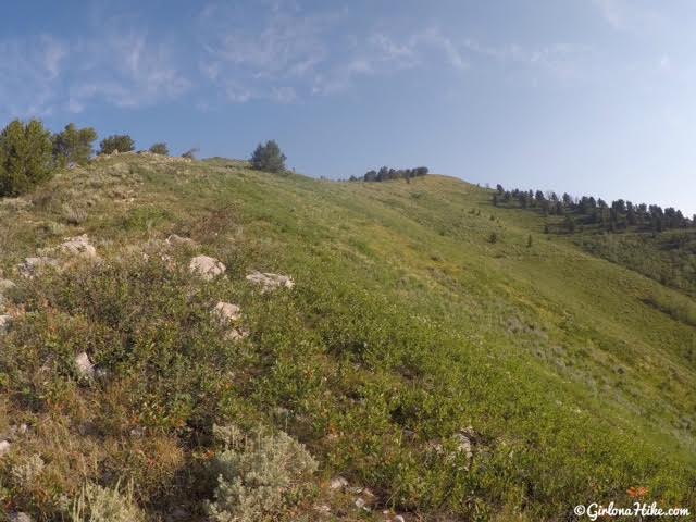 Hiking to Mill Canyon Peak, American Fork Canyon