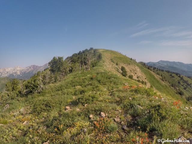 Hiking to Mill Canyon Peak, American Fork Canyon