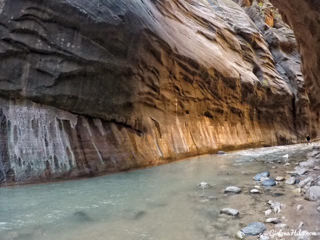 Hiking The Narrows, Zion National Park