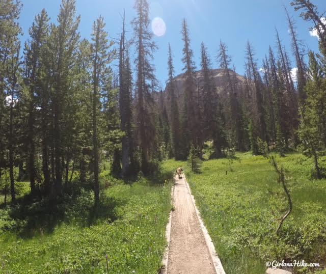 Backpacking to Ibantik Lake, Uintas