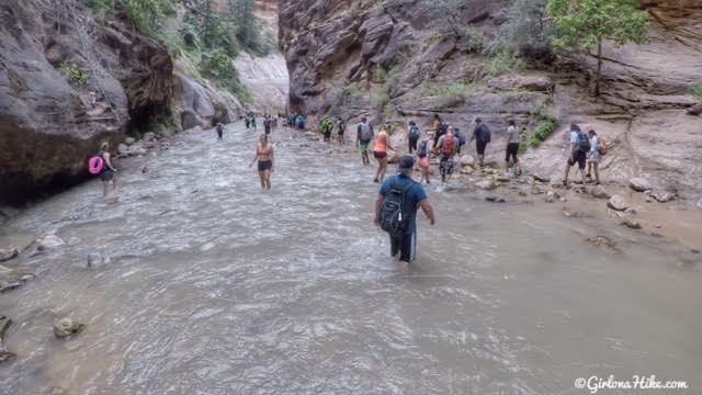 Hiking The Narrows, Zion National Park