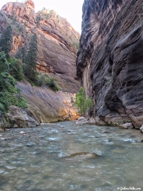 Hiking The Narrows, Zion National Park