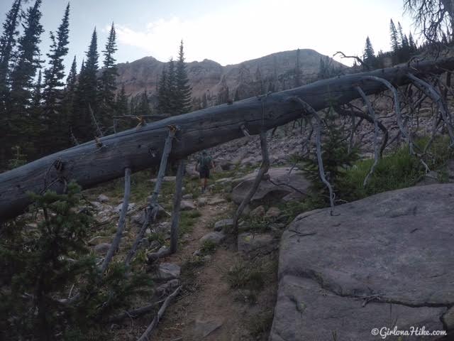 Hiking to Hayden Peak, Uintas