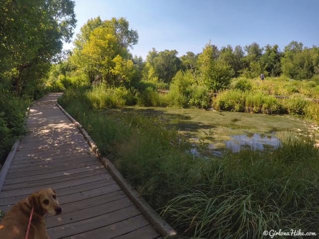 Visiting Cascade Springs, American Fork Canyon