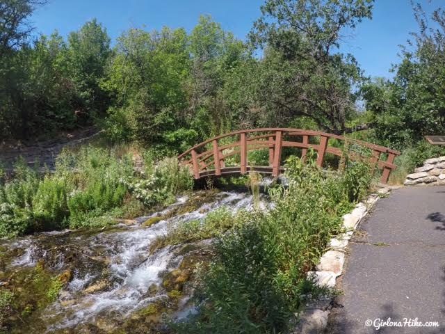 Visiting Cascade Springs, American Fork Canyon